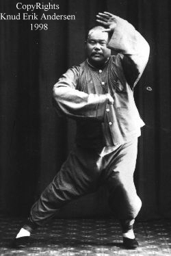 Yang Cheng-Fu