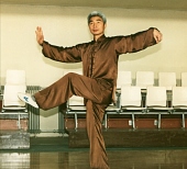 Billede 8: Professor Men Hui Feng viser her "Træd tilbage og rid på tigeren" fra Wu stil.