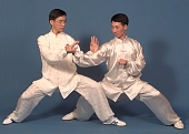 Billed 2: Dr. Paul Lam og Mester Peter Wu der viser en kampteknik fra Chen Stil.