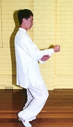 Billede 7: Mester Peter Wu viser "Fremad, Parer, bloker og slå" fra Hao Stilen.