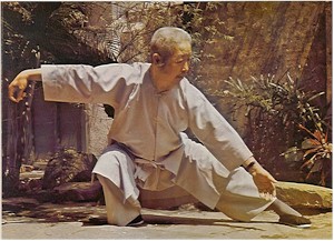 Cheng on Cheng Man Ching Single Whip Lower Position